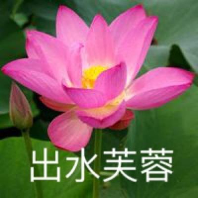 武侠大掌门内购无敌版下载